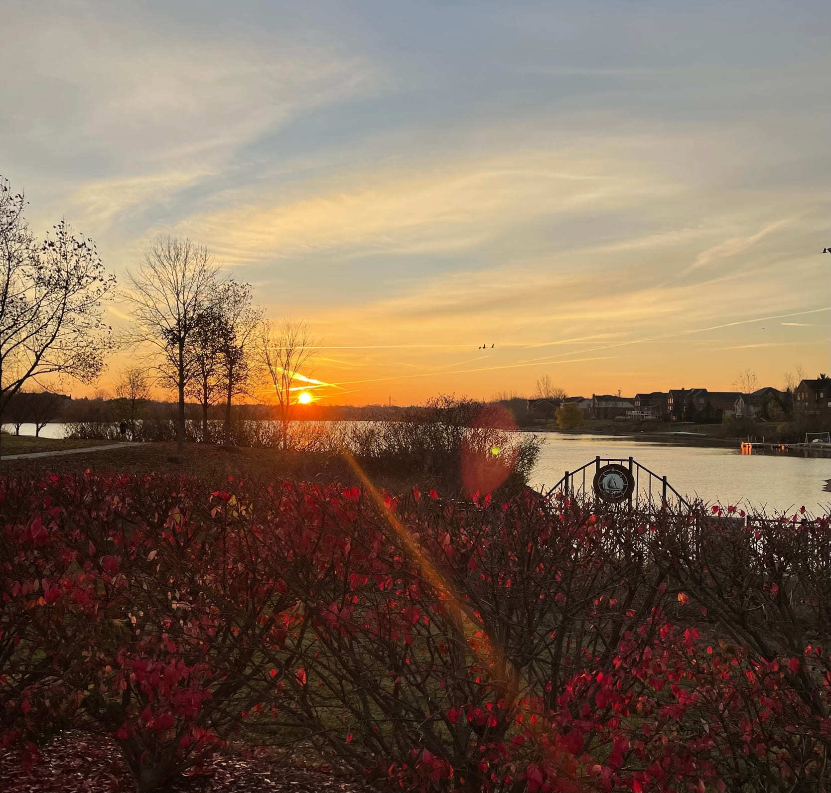 Novi, MI Homes for Sale Novi, MI Real Estate